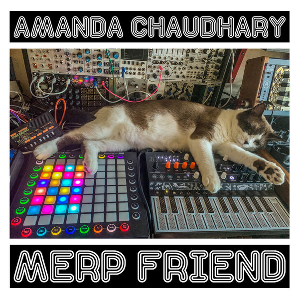 Merp Friend - EP by Amanda Chaudhary